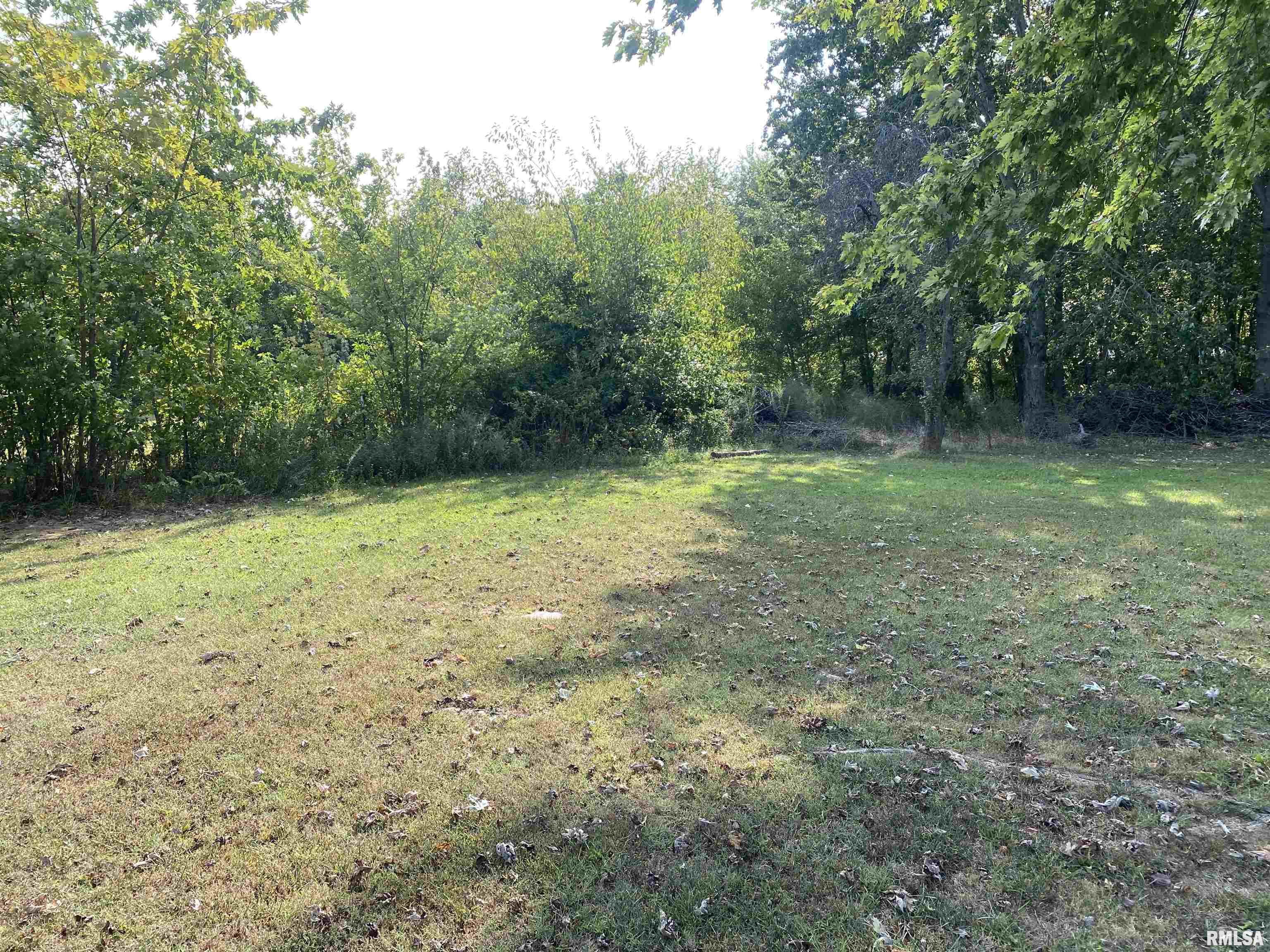 21938 Carlyle Road Thompsonville, IL 62890 - Photo 4 of 15 Gallery Image 4