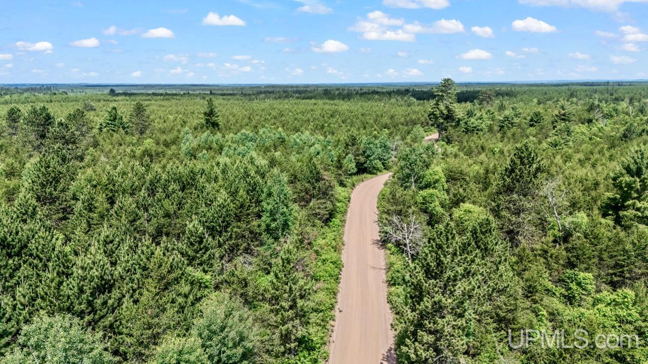 Tbd Bryan Creek Road Ishpeming, MI 49849 - Photo 5 of 16