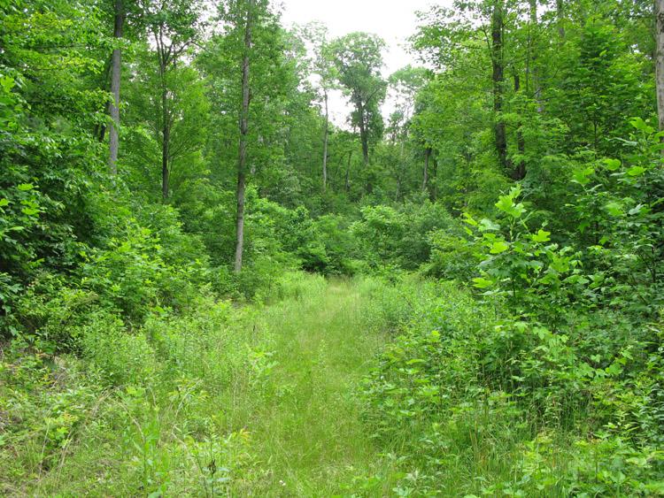 100 Sweeneysburg Road Beckley, WV 25801 - Photo 4 of 17 Come go exploring
