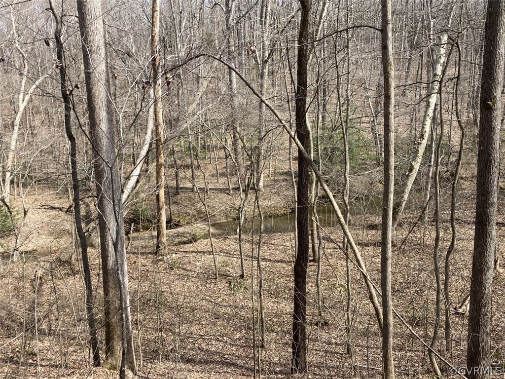 0 Liberty Hill Road Powhatan, VA 23139 - Photo 8 of 9 Gallery Image 8
