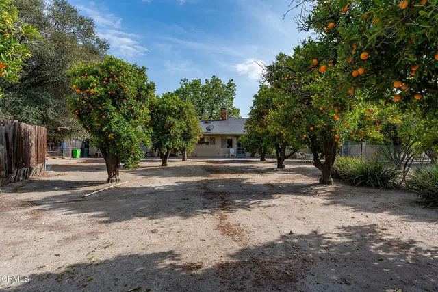 a view of a tree in front of a house