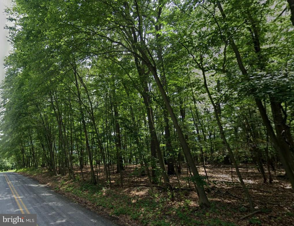0 Ridge Road Halifax, PA 17032 - Photo 3 of 6