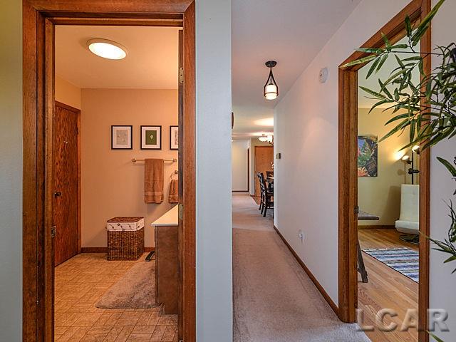 10436 Bacon Road Petersburg, MI 49270 - Photo 47 of 47 31292820-48.JPG