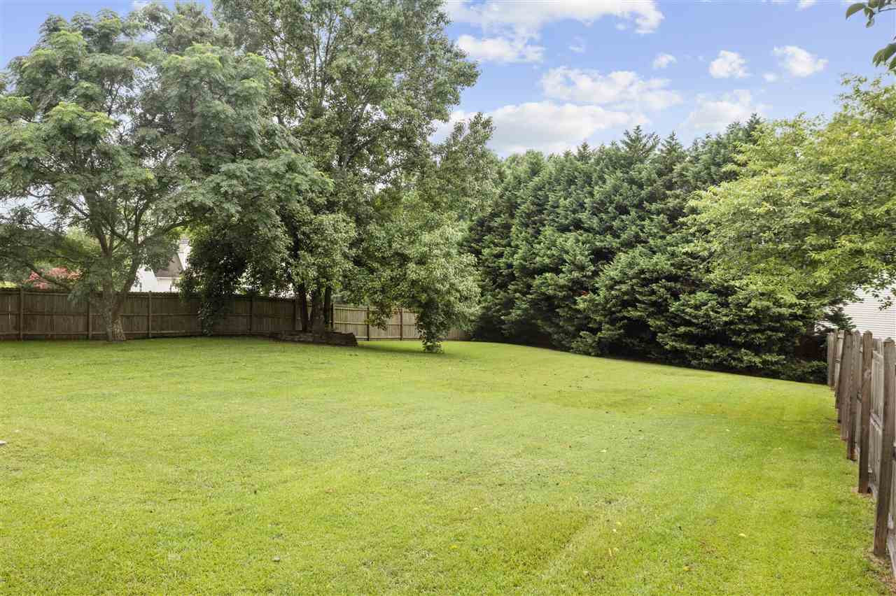 4840 Topstone Road Raleigh, NC 27603 - Photo 8 of 30 Privacy trees