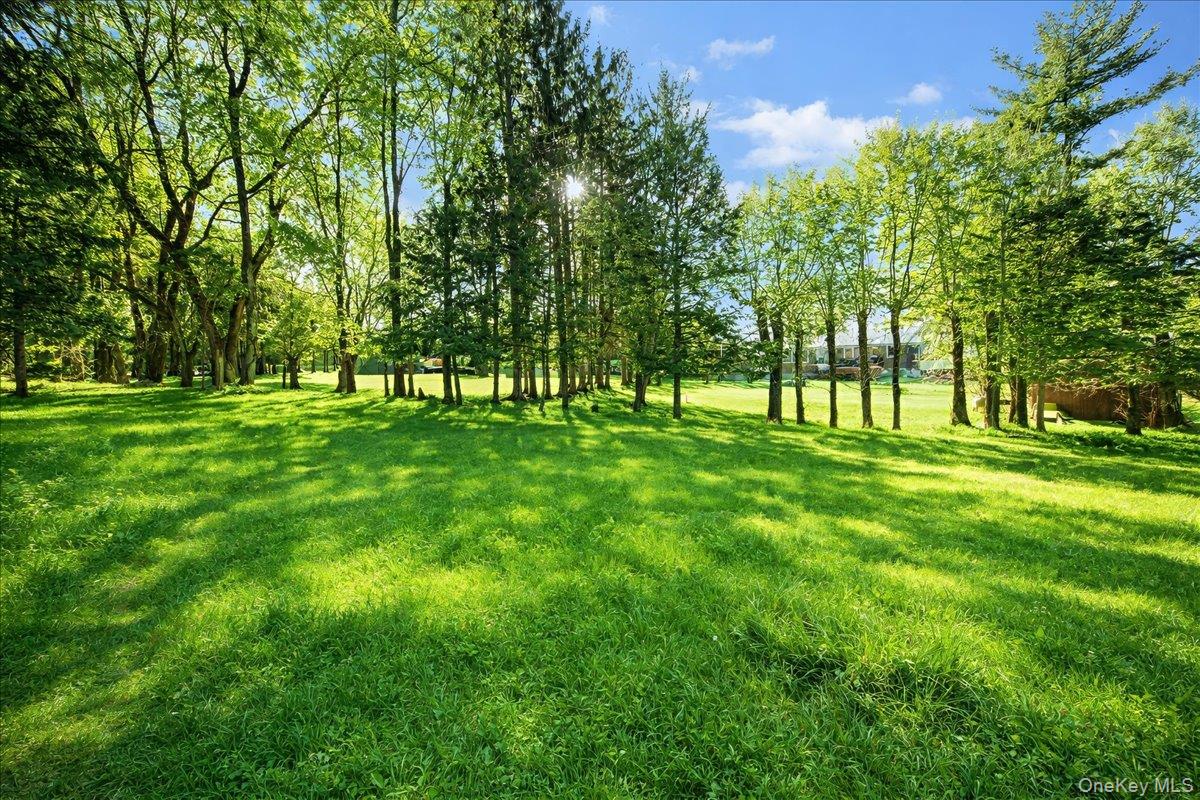 366 Overlook Road Pleasant Valley, NY 12569 - Photo 36 of 39 a huge green field with lots of trees