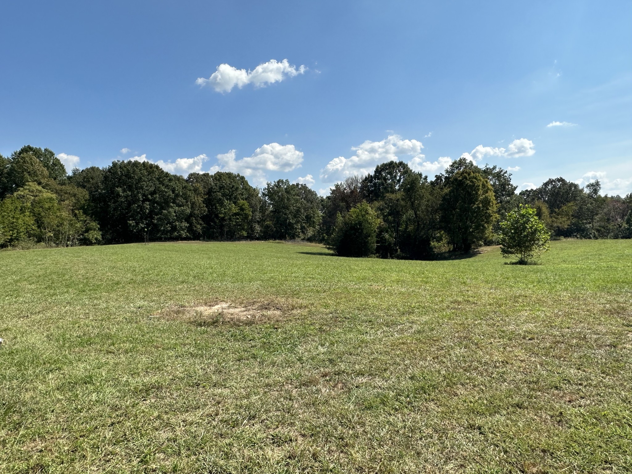3614 Bethel Church Road Camden, TN 38320 - Photo 21 of 54 Gallery Image 21