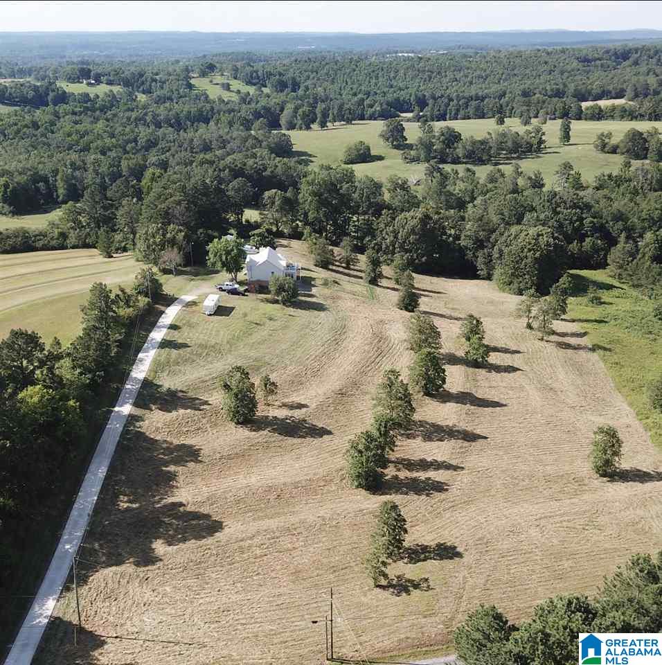 1200 Hicks Road Oneonta, AL 35121 - Photo 1 of 11