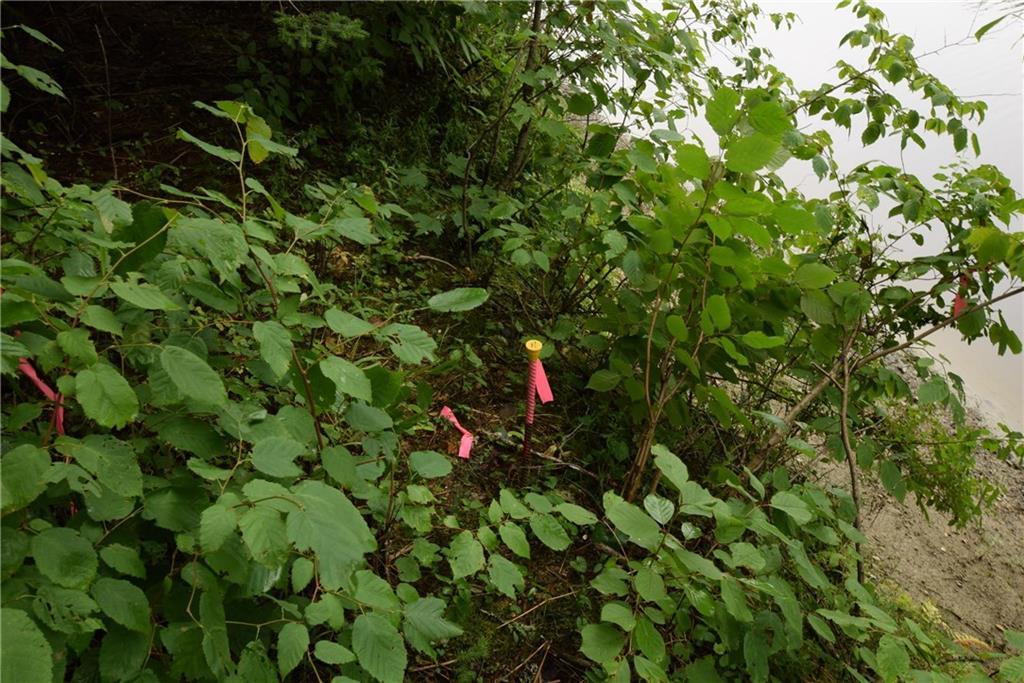 17 Mooseberry Road Wytopitlock, ME 04497 - Photo 5 of 22 Surveyed lot