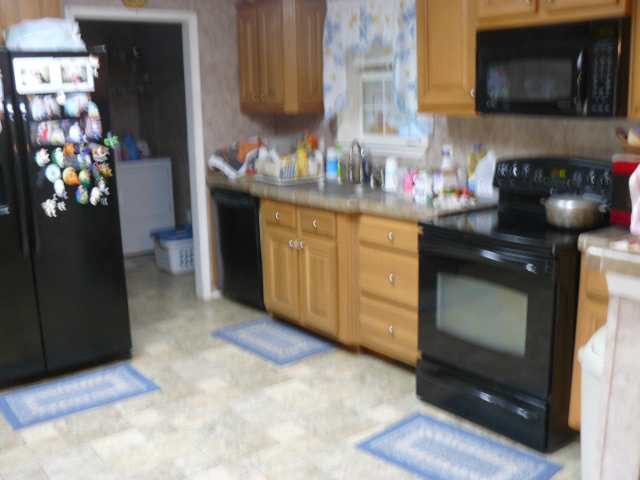 268 Watson Cut Road New Tazewell, TN 37825 - Photo 13 of 30 P1400529