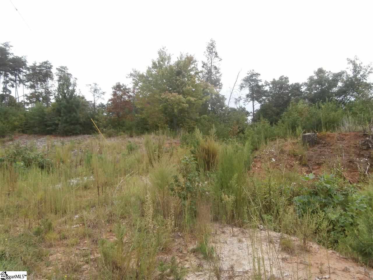 1965 Mt Tabor Church Road Easley, SC 29640 - Photo 1 of 1