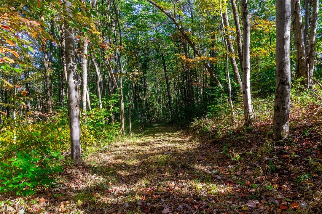 Southwest Johnson Hill Road Newcomerstown, OH 43832 - Photo 22 of 46 View of wooded area