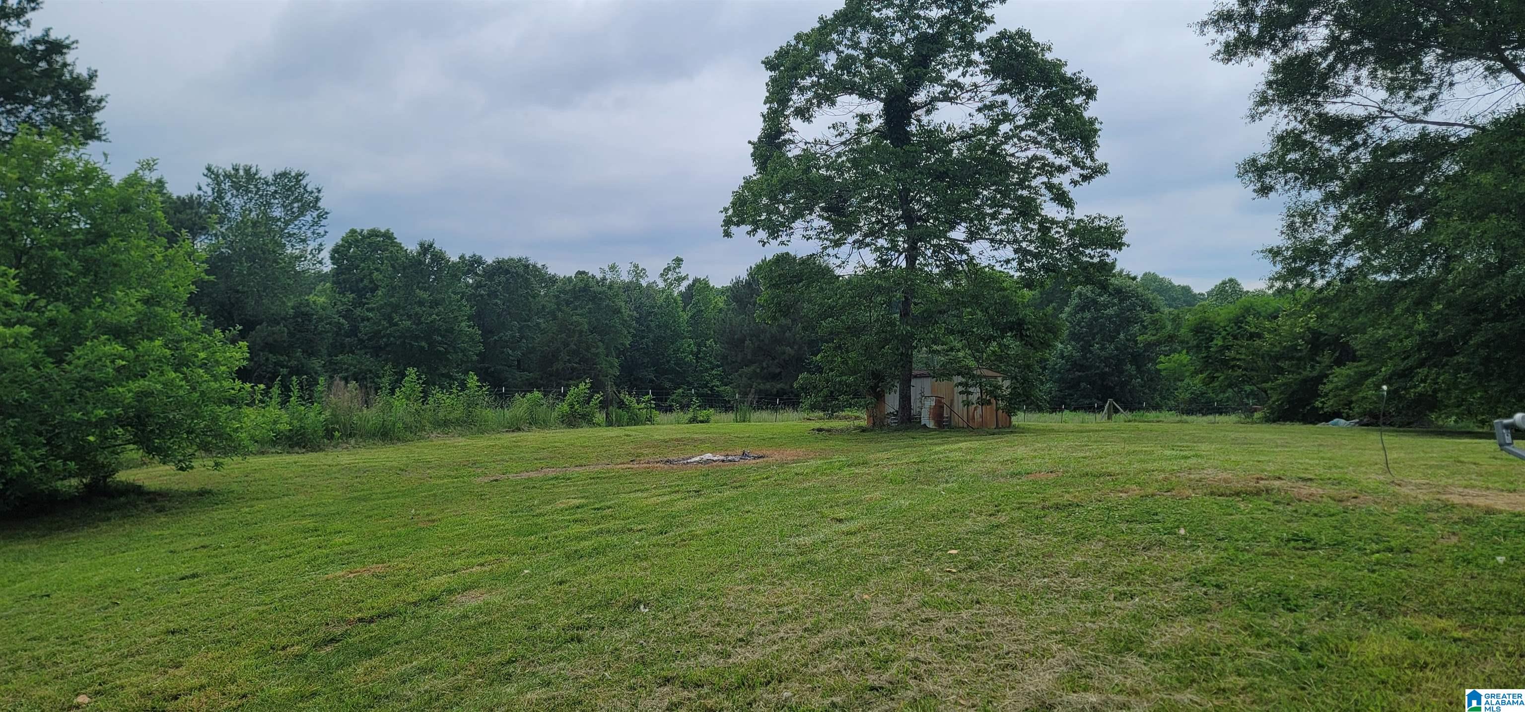 2177 County Road 6 Heflin, AL 36264 - Photo 11 of 42