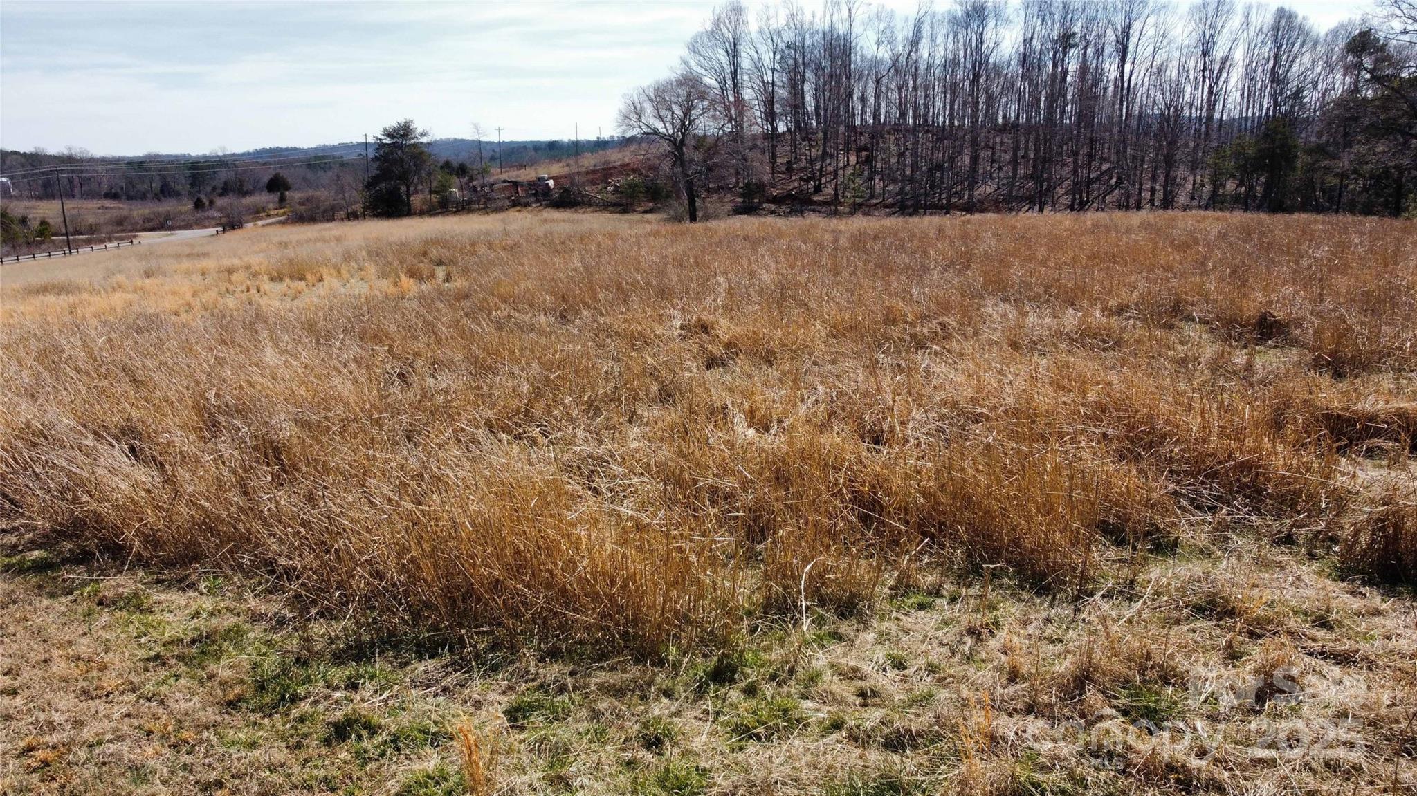 0 A R Thompson Road Mill Spring, NC 28756 - Photo 4 of 6