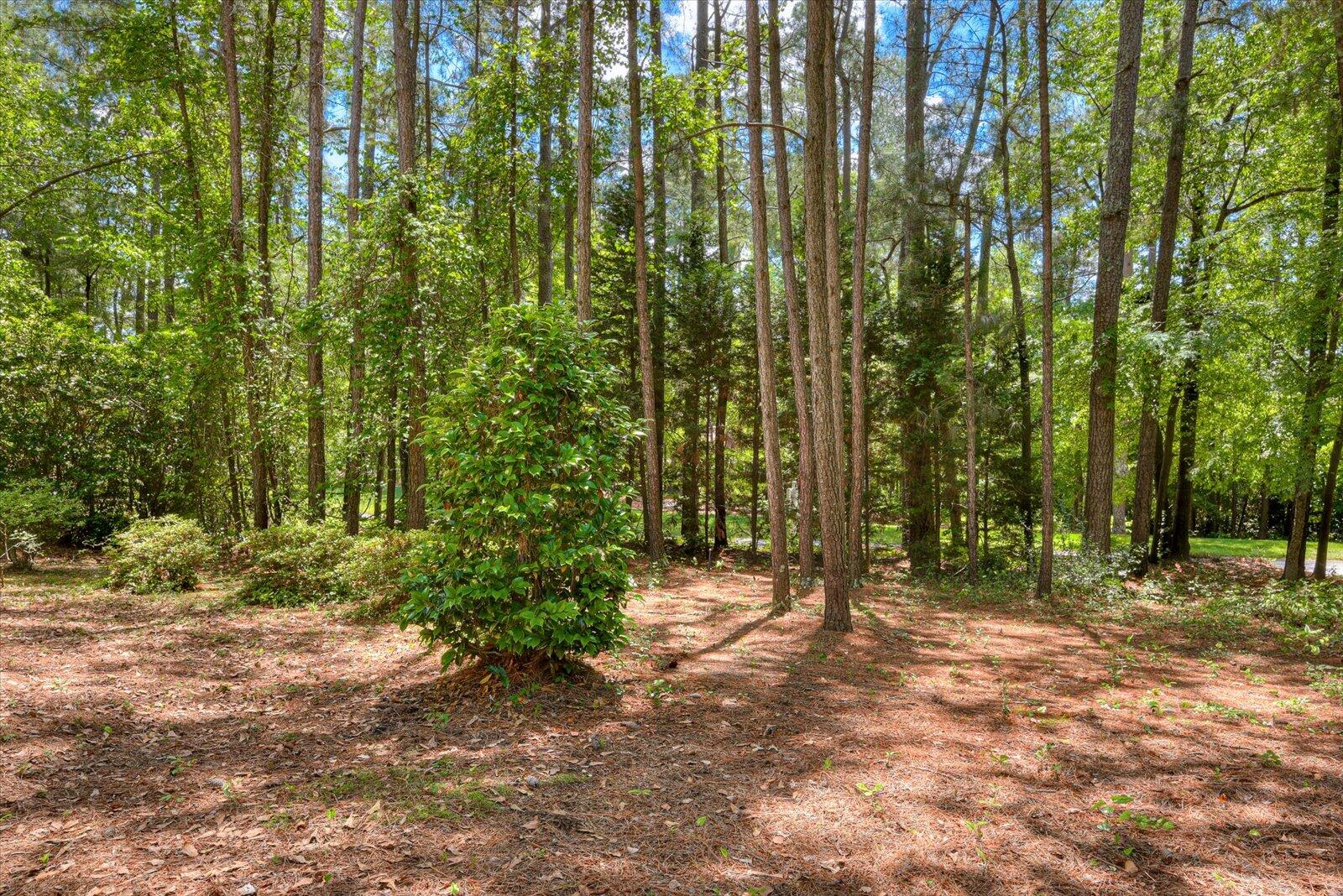 222 Boxwood Road Aiken, SC 29803 - Photo 33 of 34