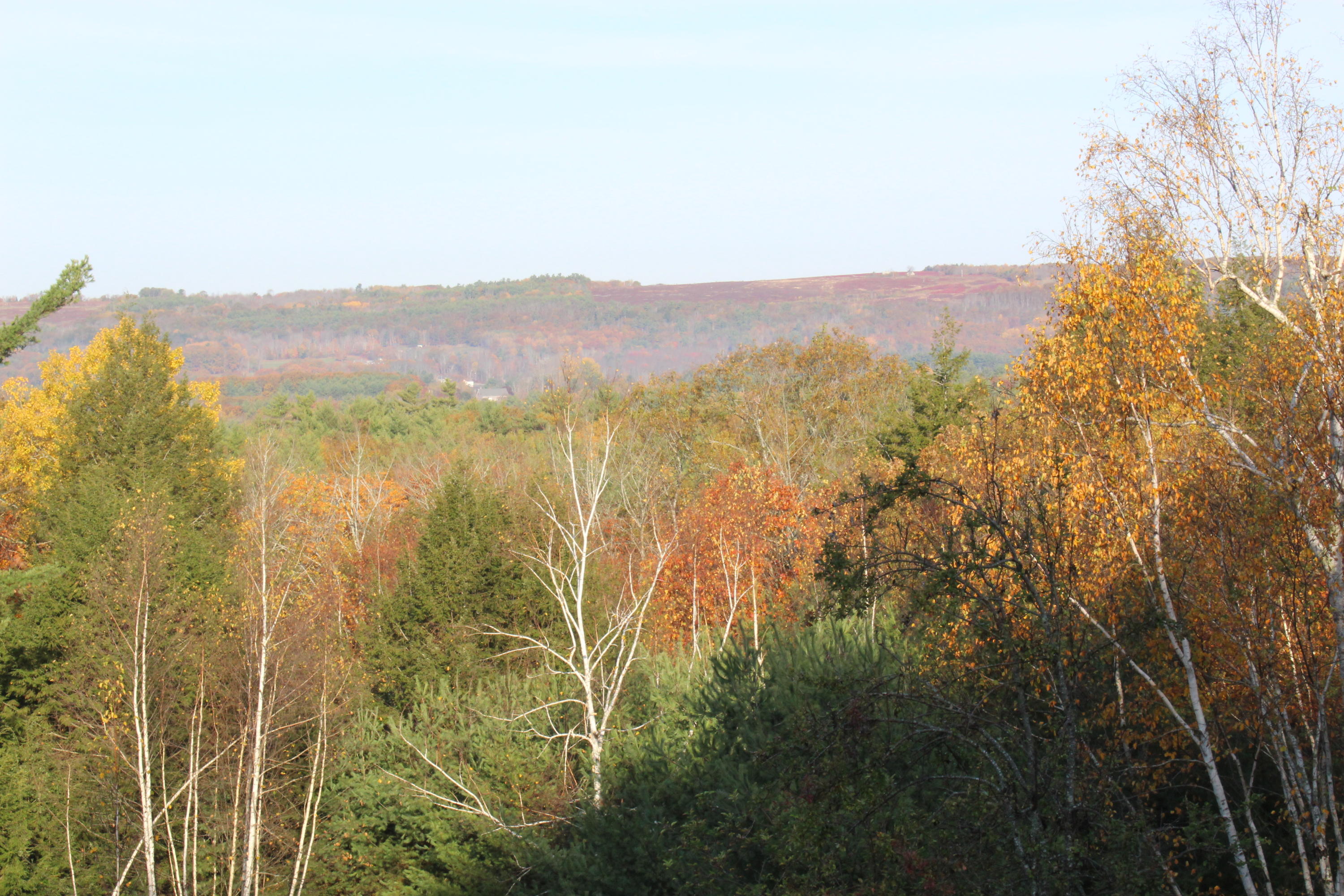 337 Jones Hill Road Appleton, ME 04862 - Photo 4 of 17 IMG_0711