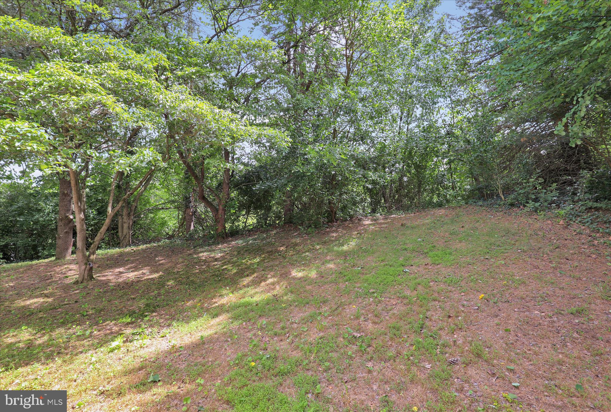 260 Wooltown Road Wernersville, PA 19565 - Photo 3 of 20 360_8057