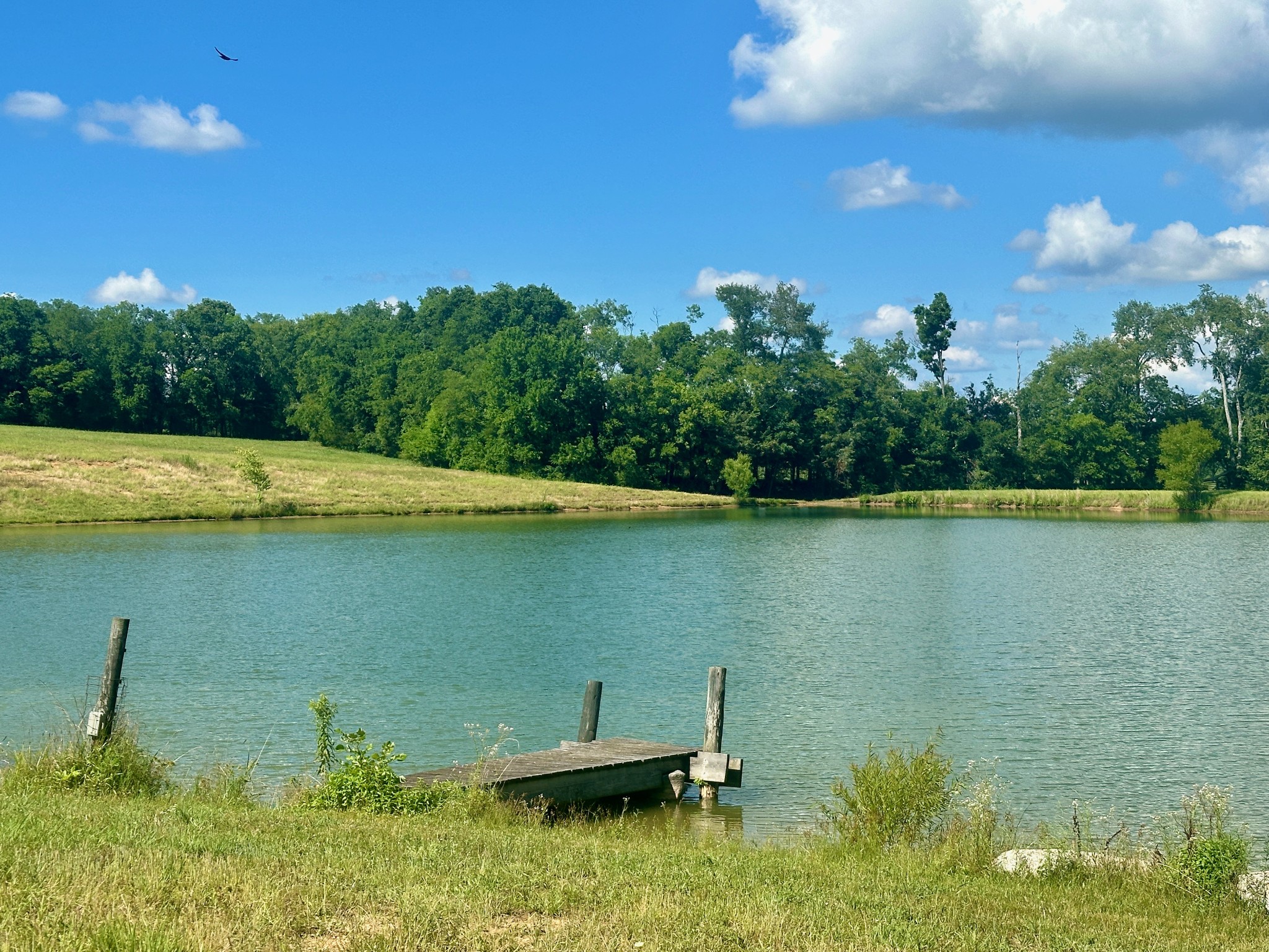 199 Knee Road Watertown, TN 37184 - Photo 3 of 70 a view of a lake from a yard