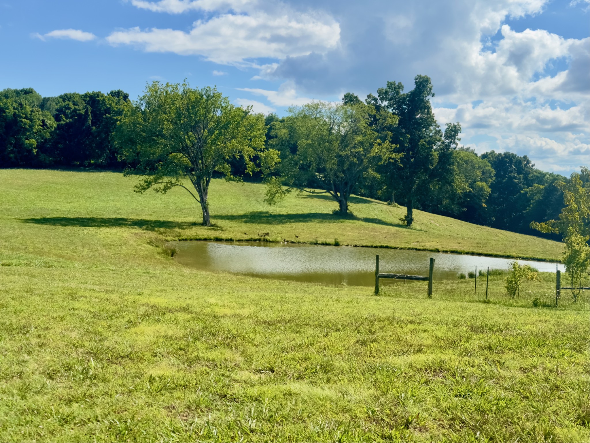 199 Knee Road Watertown, TN 37184 - Photo 35 of 70