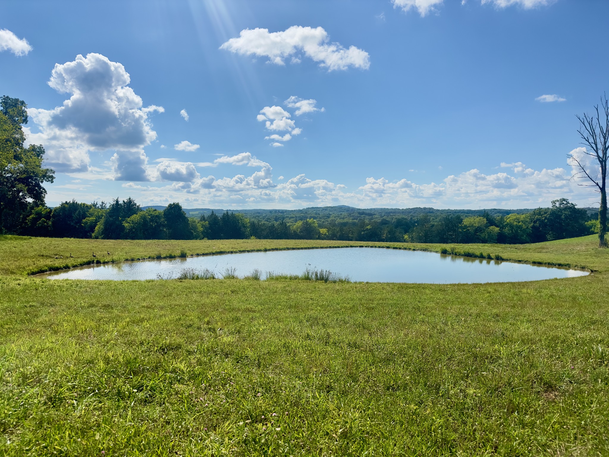 199 Knee Road Watertown, TN 37184 - Photo 36 of 70 a view of a lake with a mountain in the background