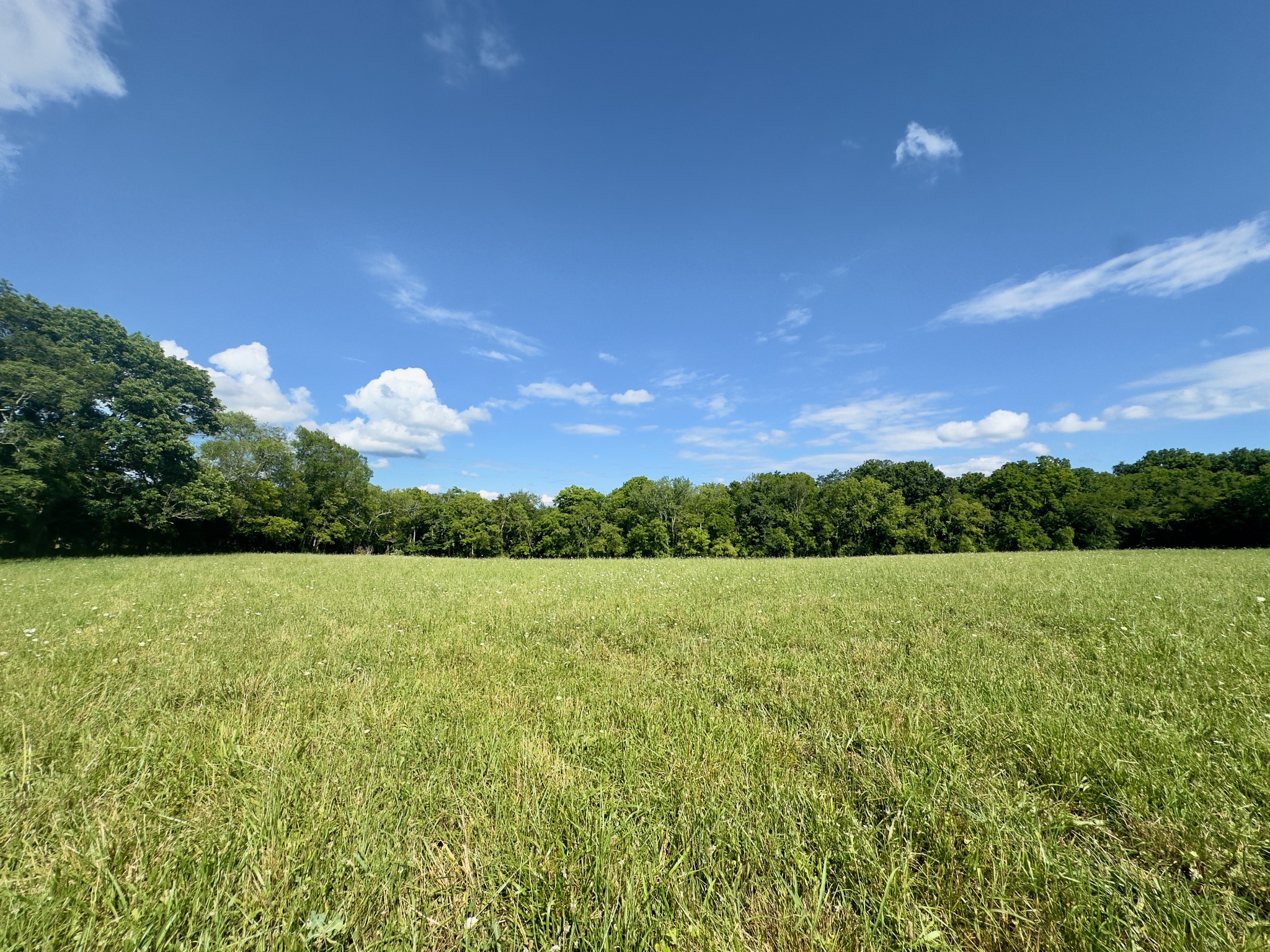 199 Knee Road Watertown, TN 37184 - Photo 38 of 70 a view of an outdoor space and a yard