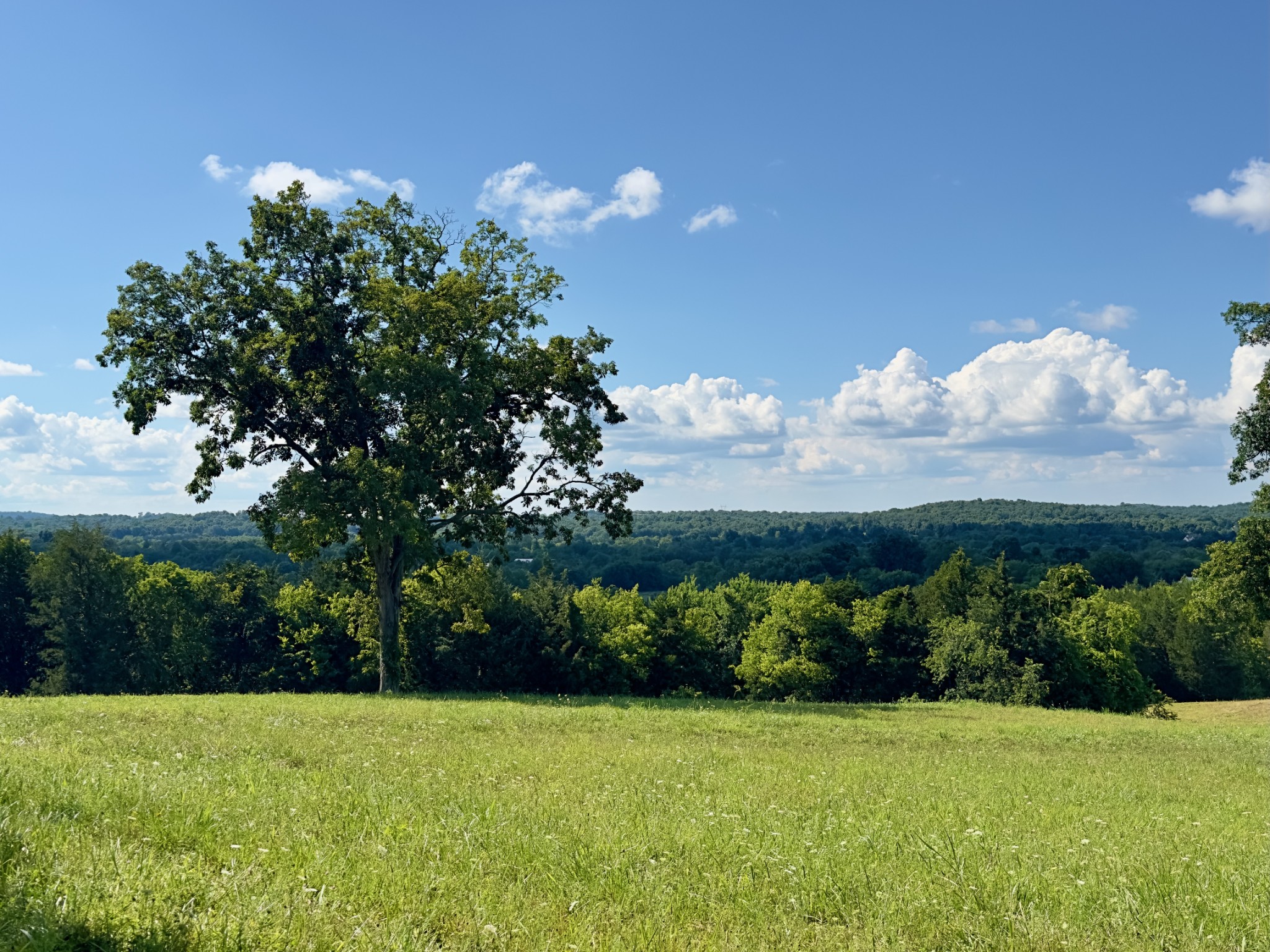 199 Knee Road Watertown, TN 37184 - Photo 39 of 70