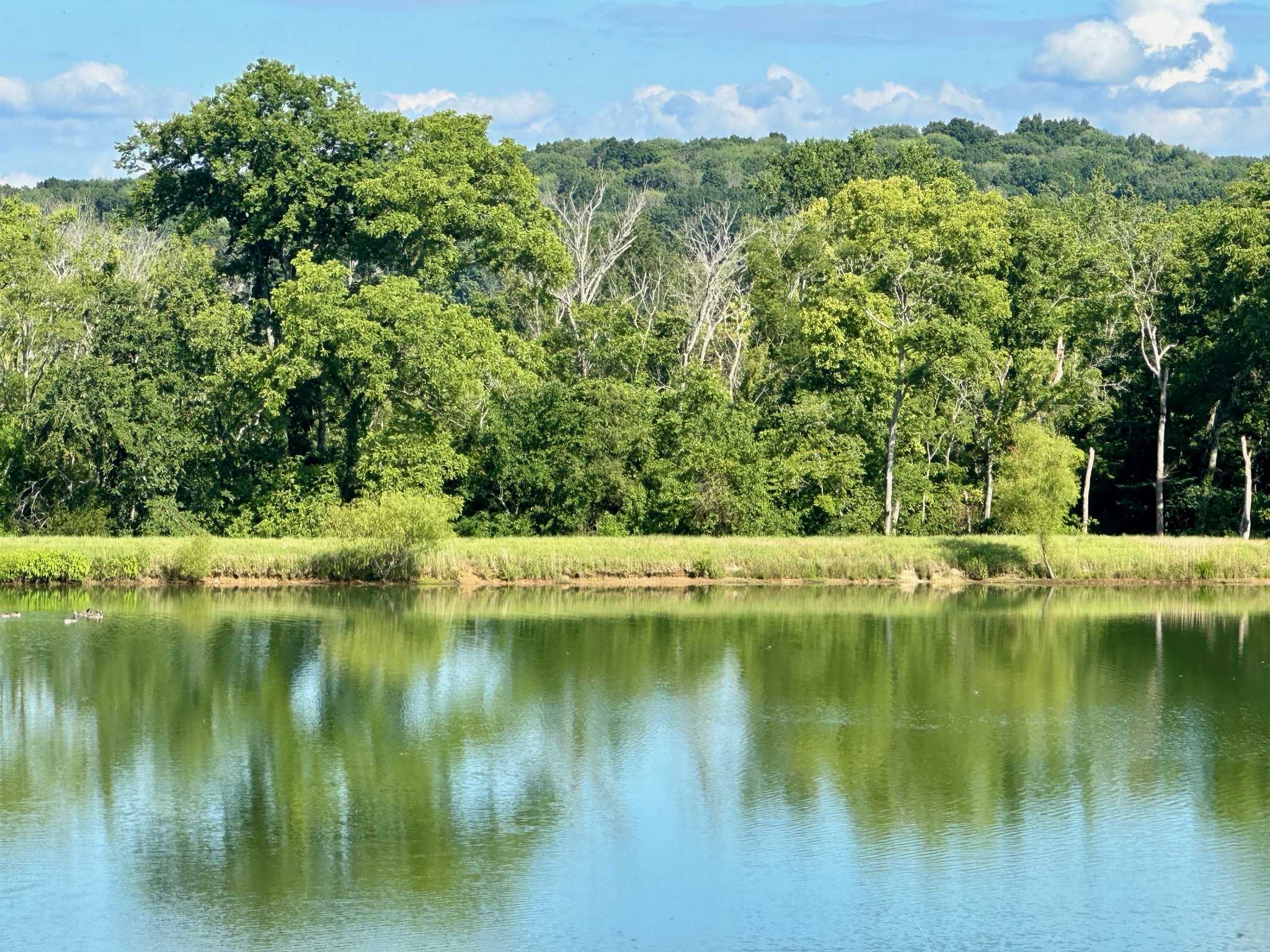199 Knee Road Watertown, TN 37184 - Photo 45 of 70