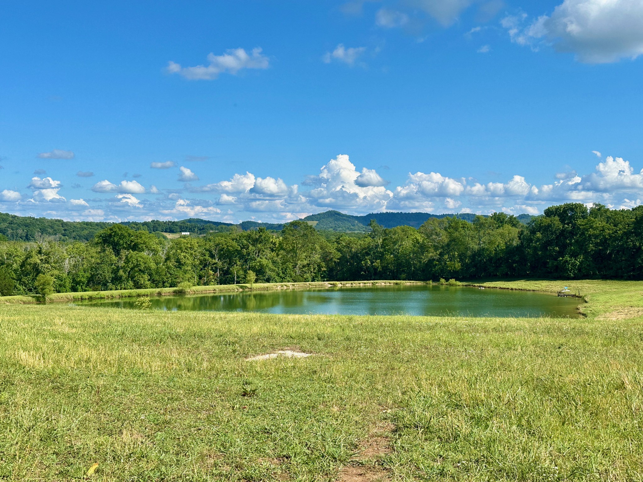 199 Knee Road Watertown, TN 37184 - Photo 47 of 70