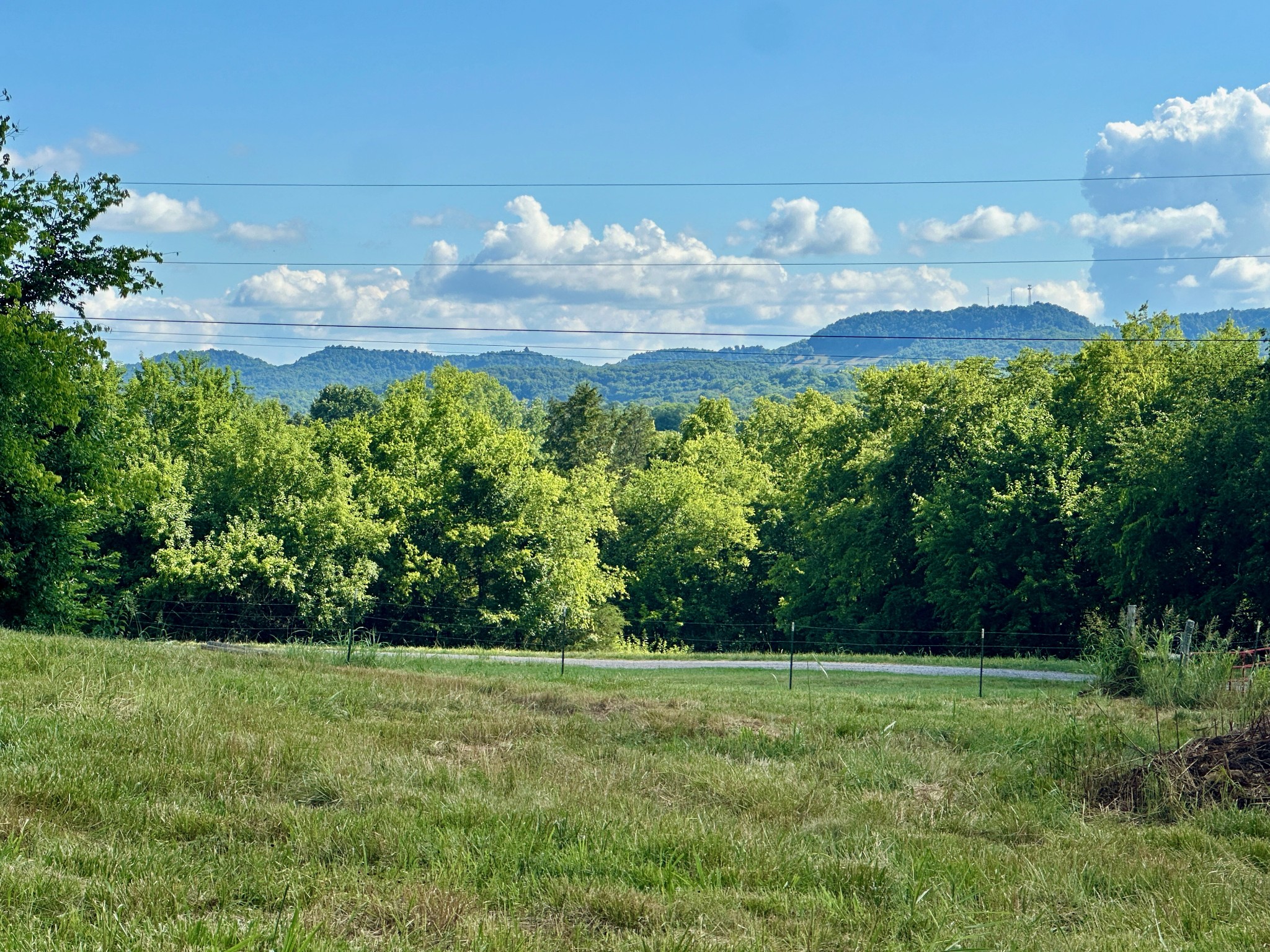 199 Knee Road Watertown, TN 37184 - Photo 50 of 70 a view of a bunch of trees and a yard