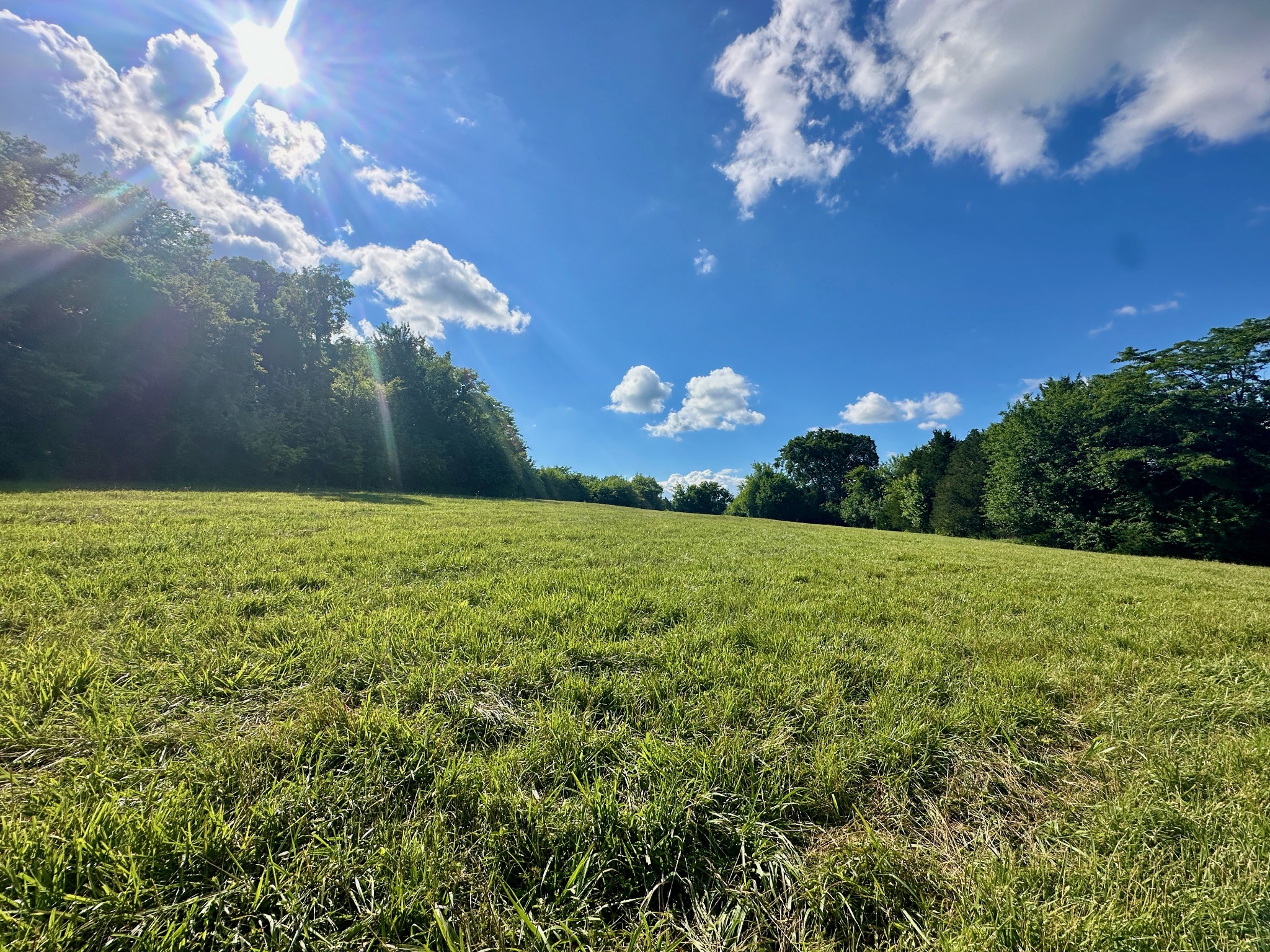 199 Knee Road Watertown, TN 37184 - Photo 52 of 70