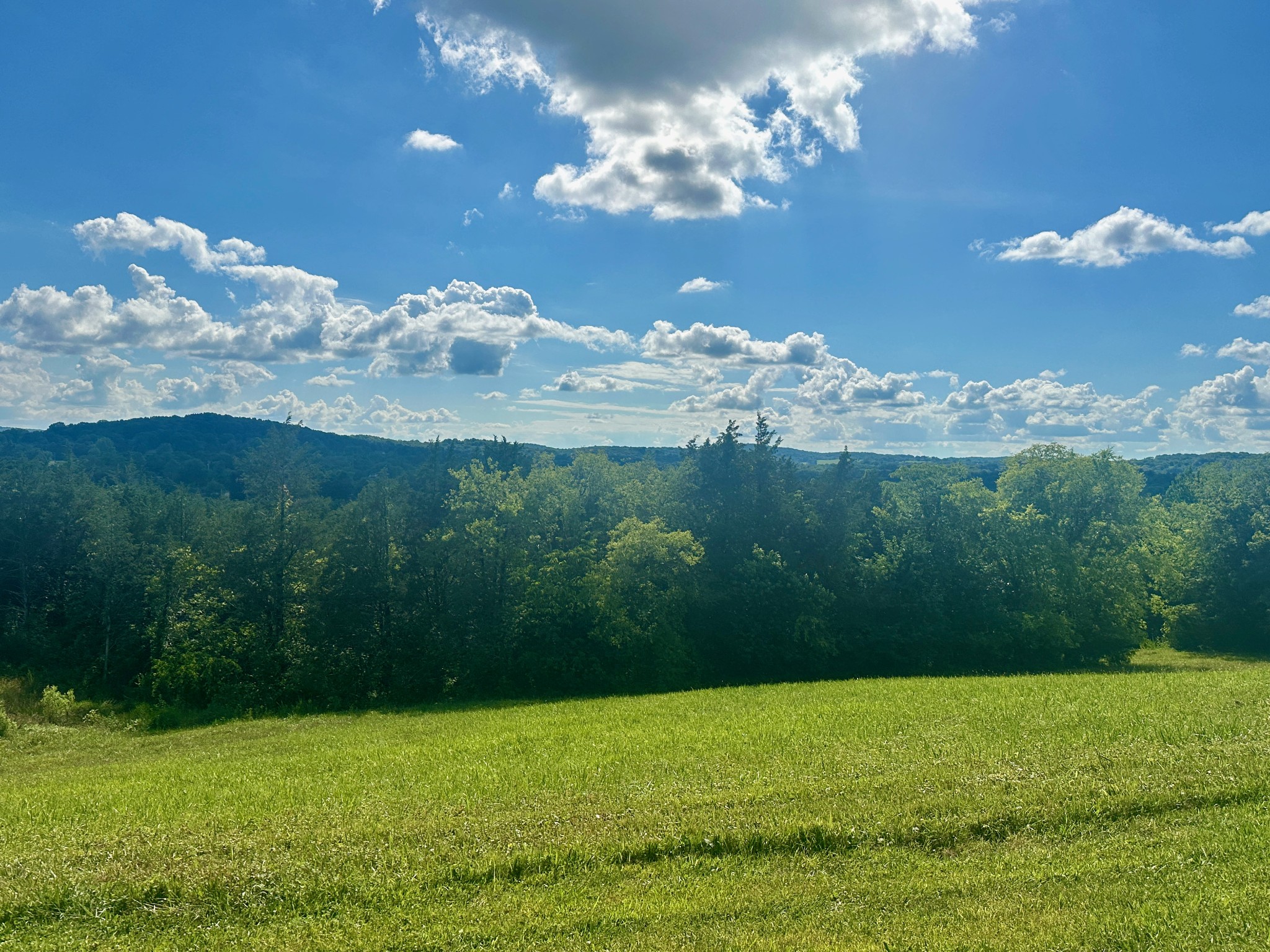 199 Knee Road Watertown, TN 37184 - Photo 53 of 70 a view of a big yard with lots of green space and mountain view