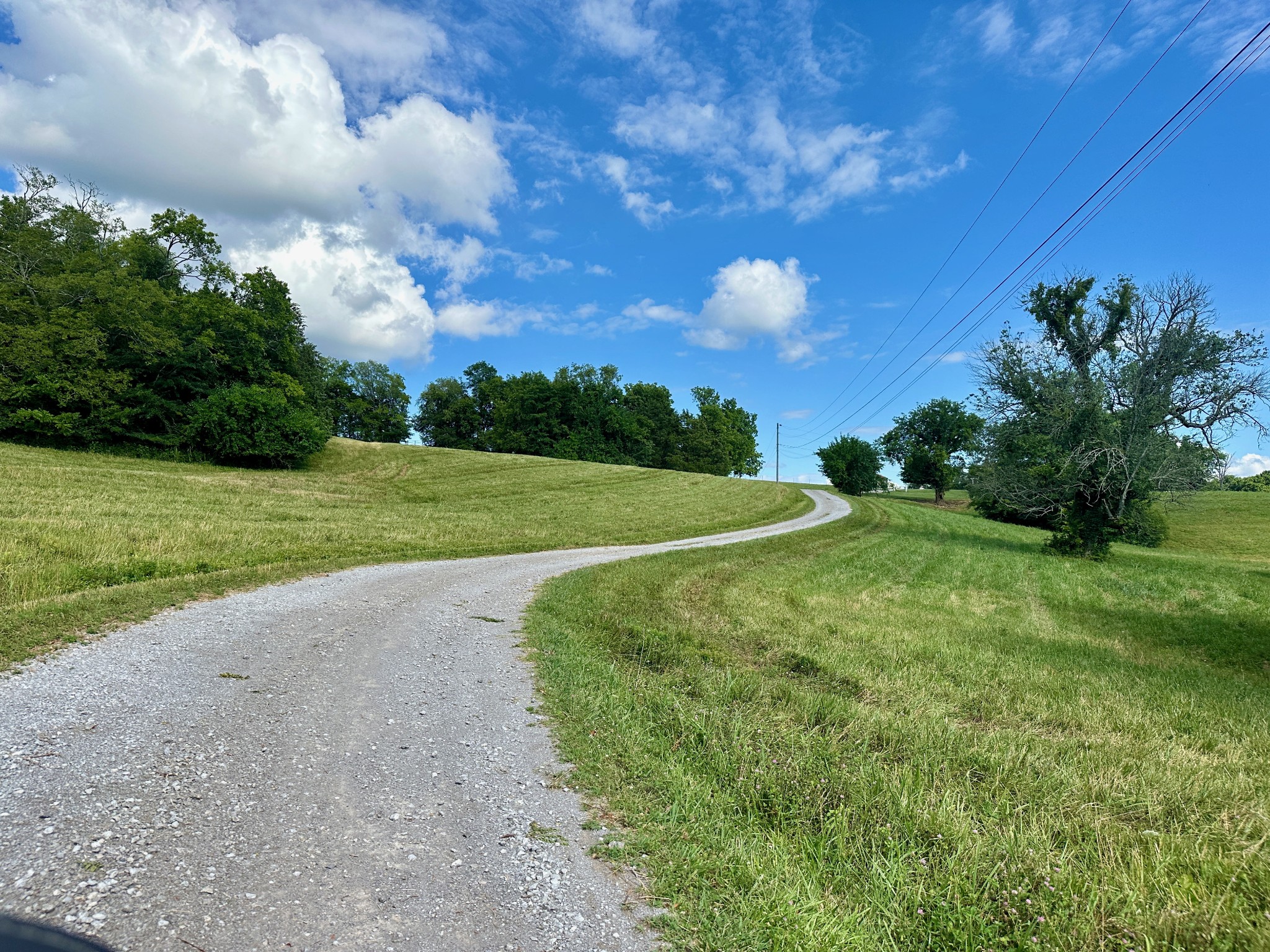 199 Knee Road Watertown, TN 37184 - Photo 56 of 70 a view of a field with grass and trees