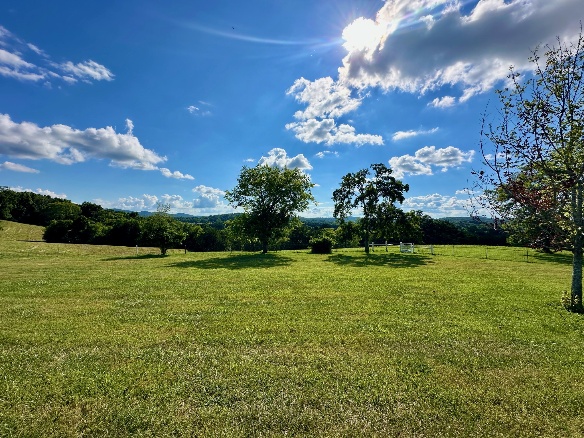 199 Knee Road Watertown, TN 37184 - Photo 69 of 70 a view of a big yard with a large tree