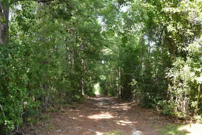 $27,000 | Lot A Bobbie Lane, Pineville, SC 29468