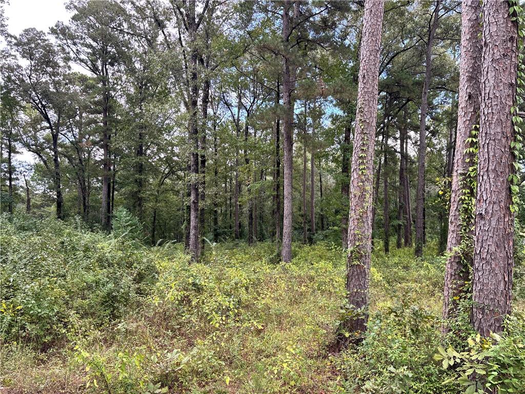 512 Dyson Creek Road Pollock, LA 71467 - Photo 4 of 6