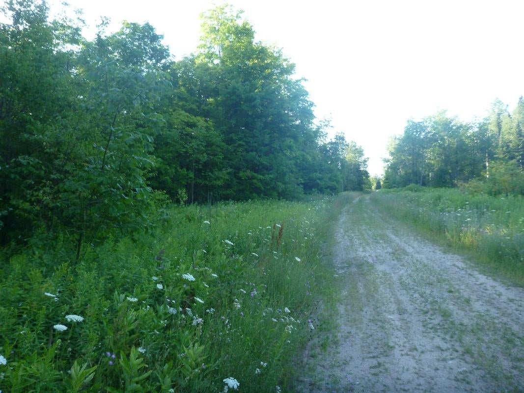 Oooo Oooo Ford Lake Road Germfask, MI 49836 - Photo 3 of 10 Gallery Image 3