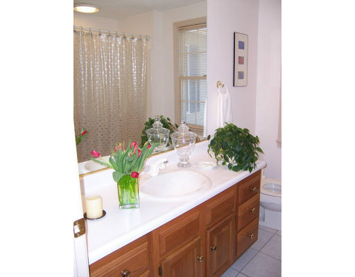 103 Cynthia Road Needham, MA 02494 - Photo 23 of 25