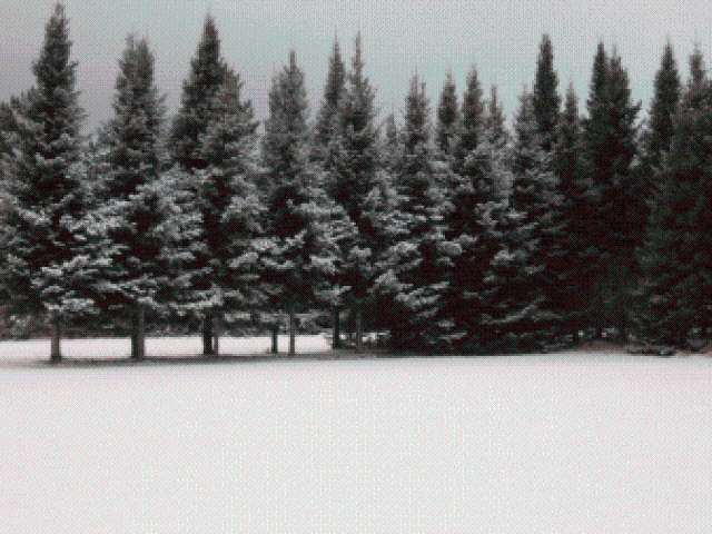 On Golf Course Road Phillips, WI 54555 - Photo 1 of 7 Gallery Image 1