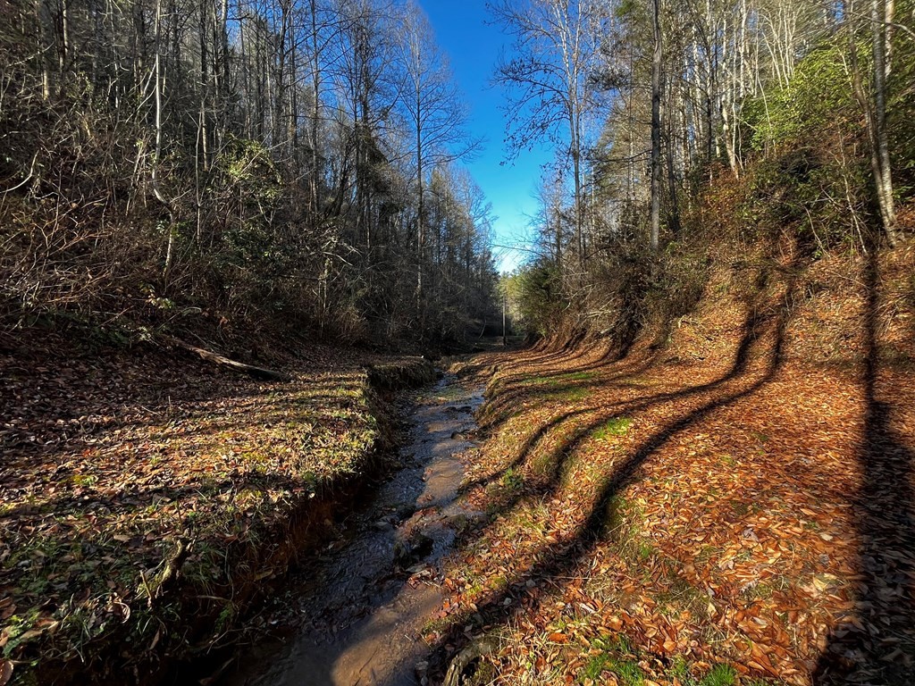 23 Valentine Branch Road Sevierville, TN 37876 - Photo 10 of 18 Gallery Image 10