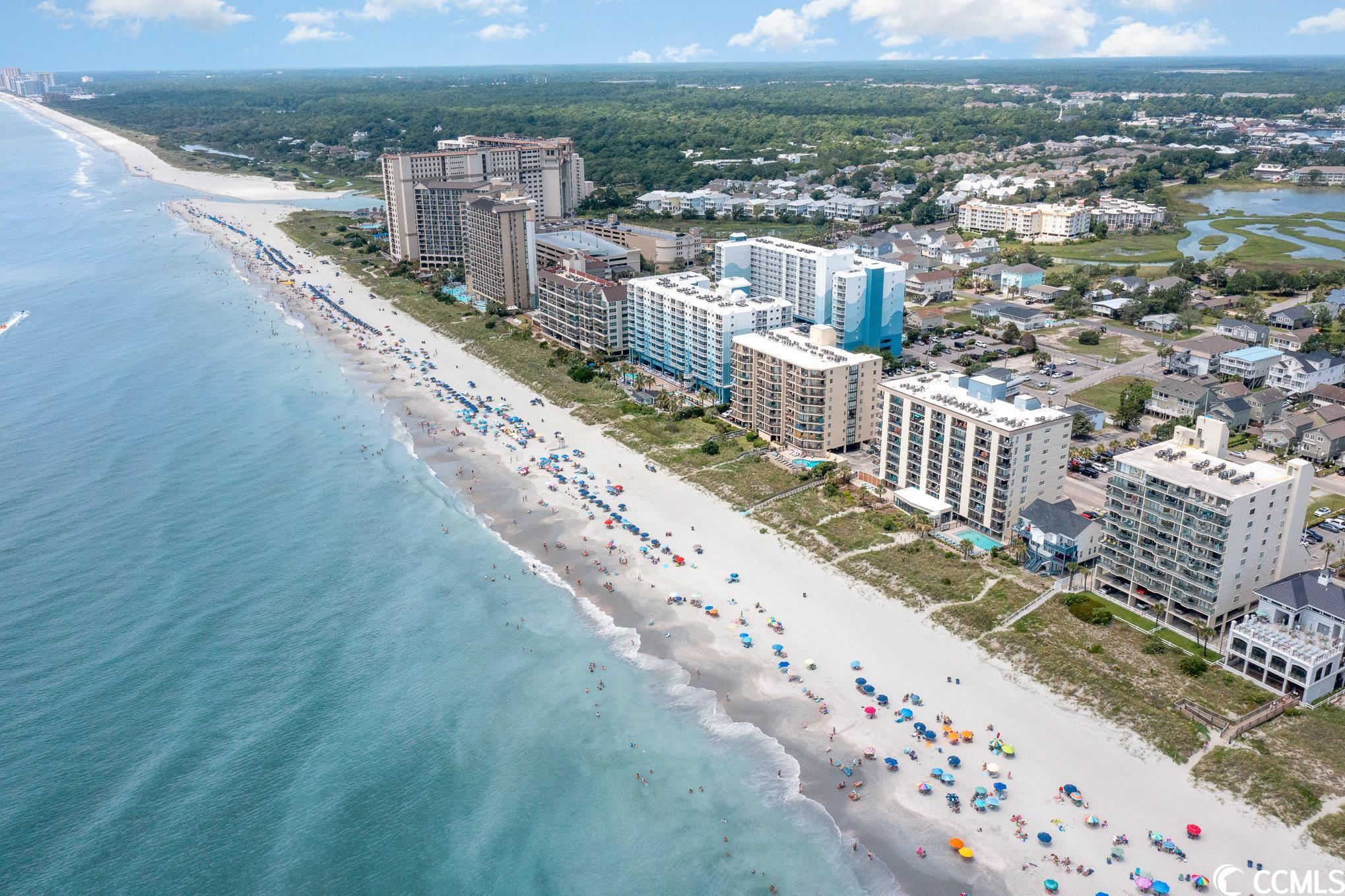 4701 South Ocean Boulevard, Unit 2B North Myrtle Beach, SC 29582 - Photo 4 of 36