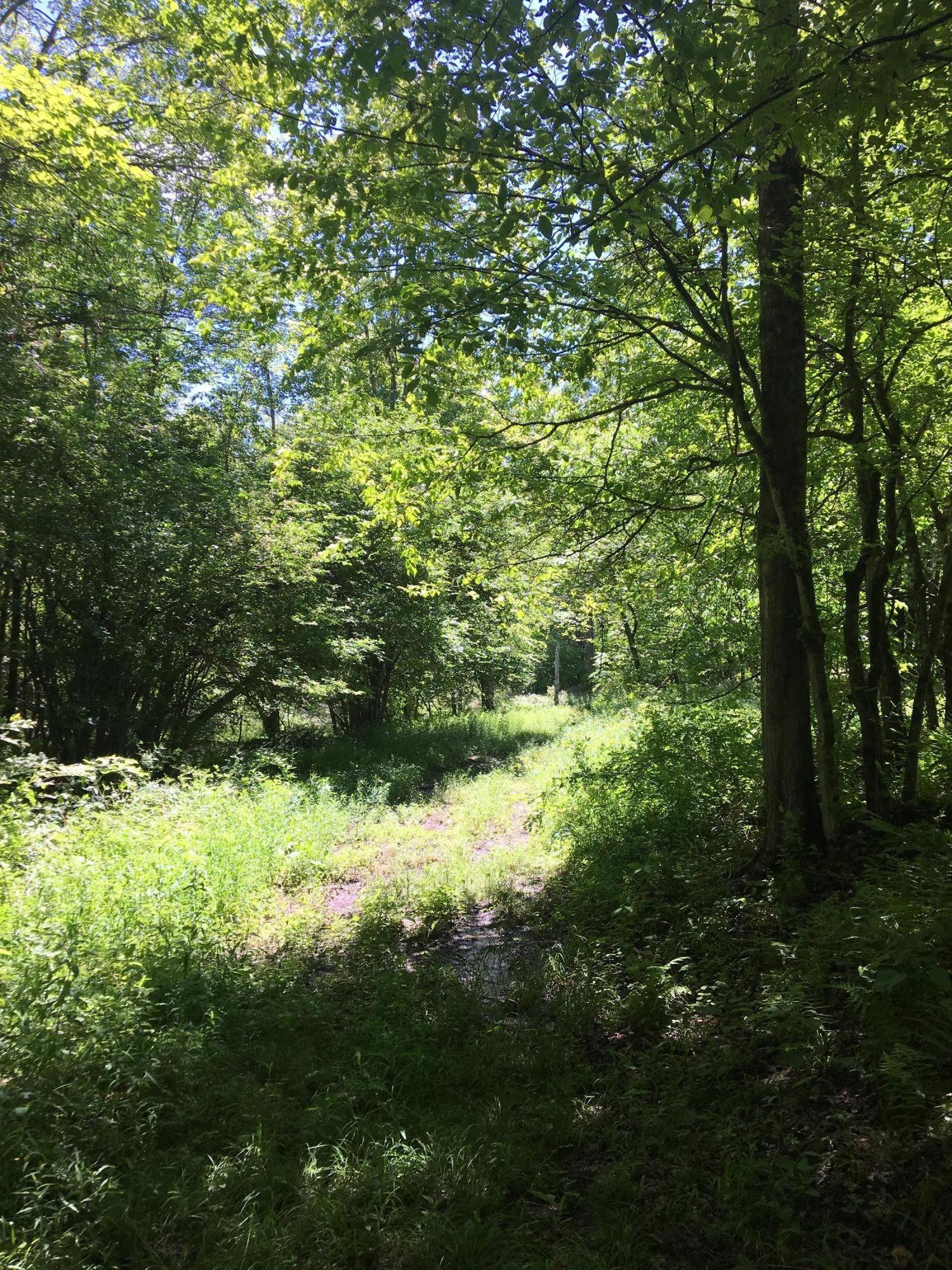 1199 Pine Mill Road Equinunk, PA 18417 - Photo 12 of 27