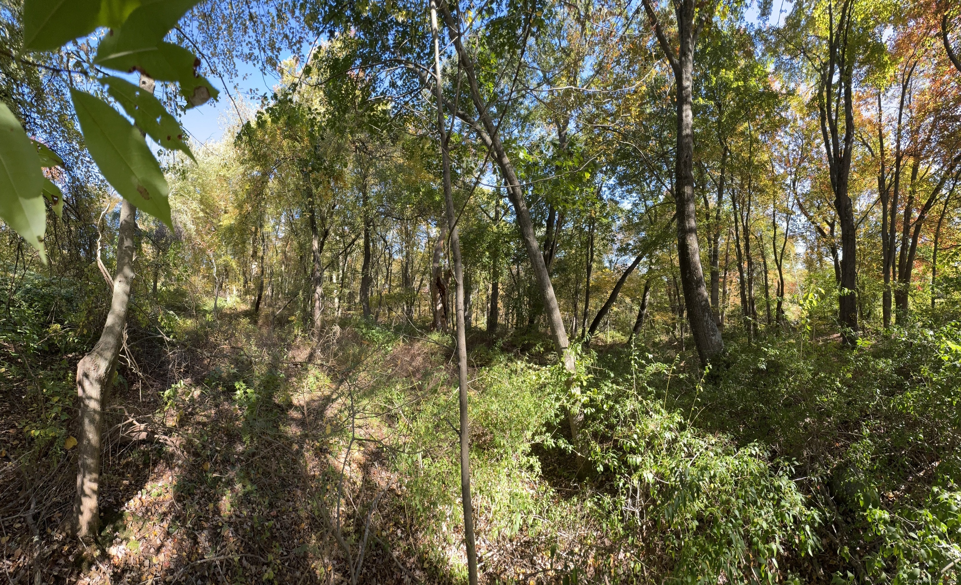 Old Colonial Road Watertown, CT 06779 - Photo 8 of 9