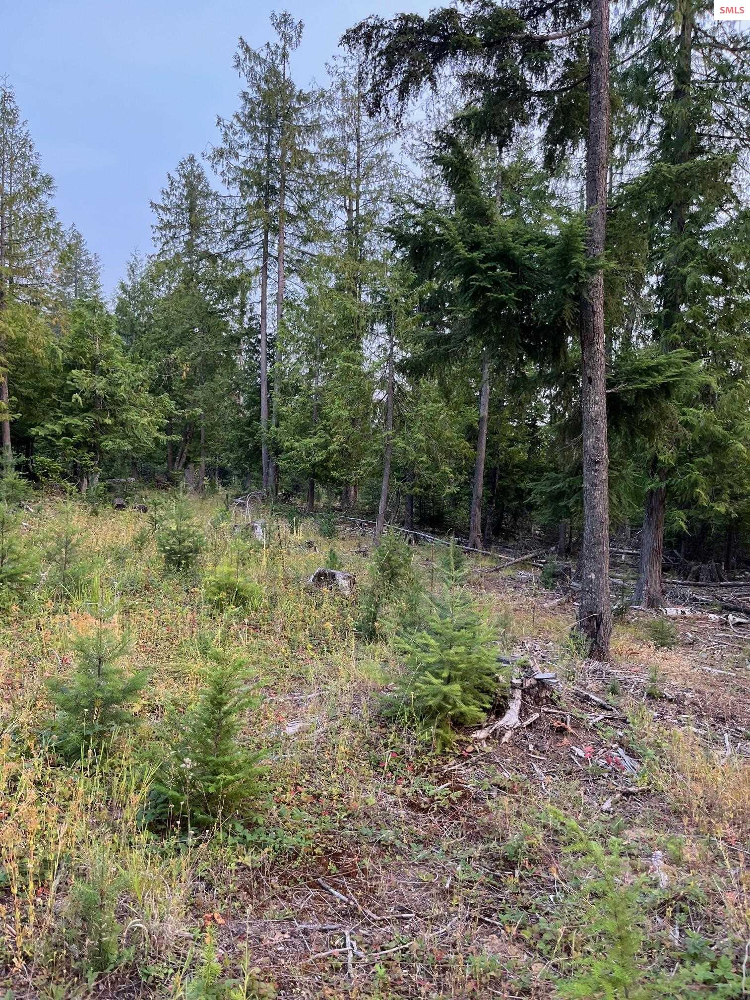 Nna Grouse Mountain Road Sagle, ID 83860 - Photo 3 of 5 Building Site