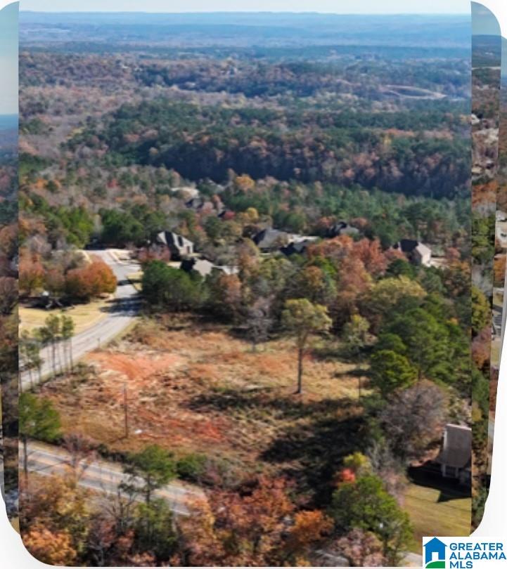 4915 South Shades Crest Road, Unit A Helena, AL 35022 - Photo 4 of 6