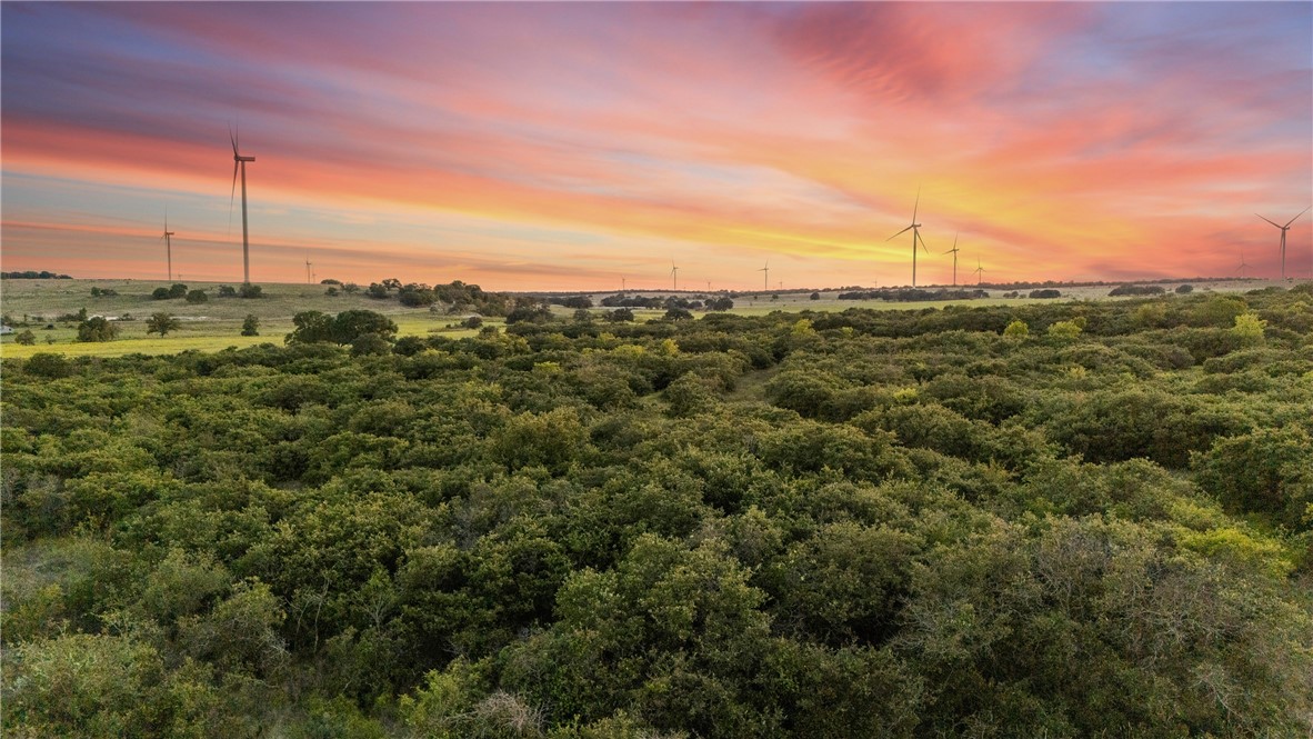 871 Fm 575 Comanche, TX 76442 - Photo 18 of 70