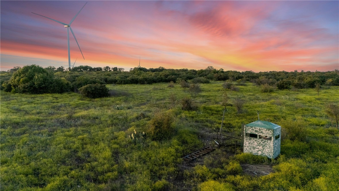 871 Fm 575 Comanche, TX 76442 - Photo 19 of 70