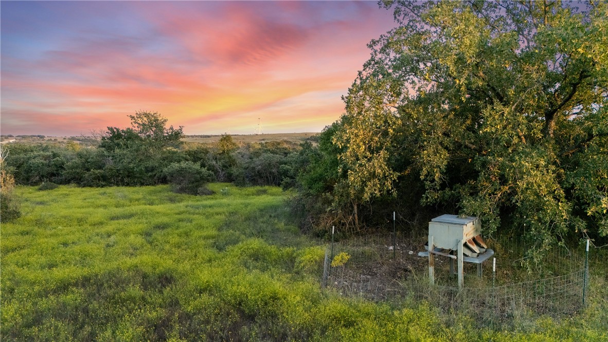871 Fm 575 Comanche, TX 76442 - Photo 20 of 70