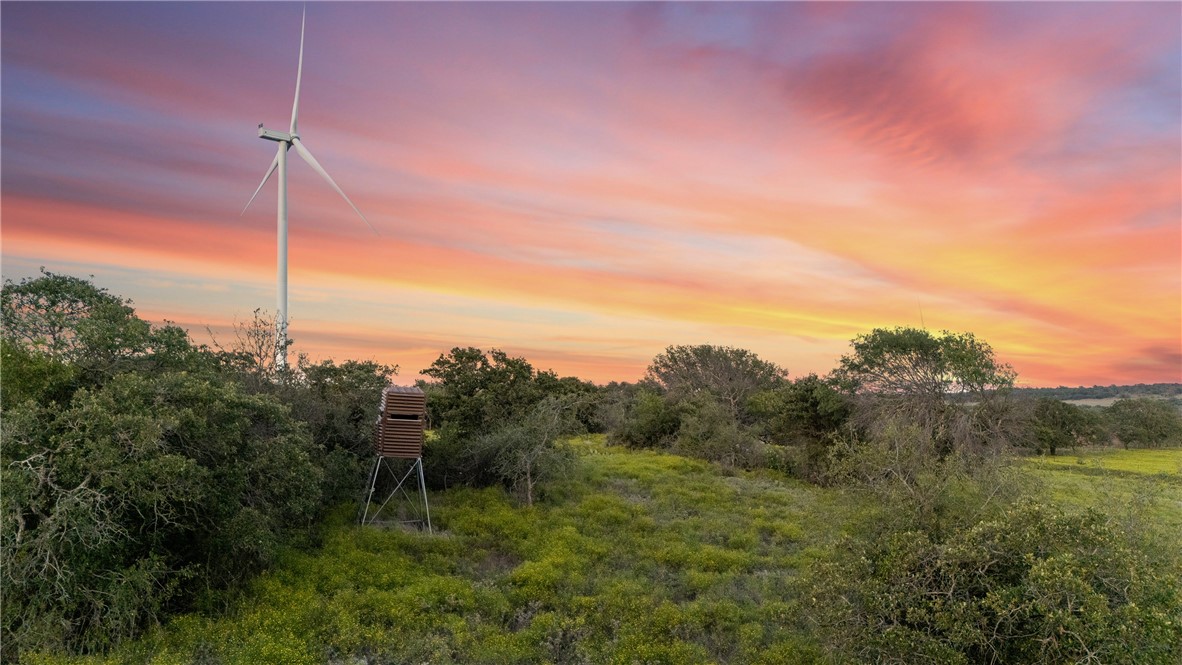 871 Fm 575 Comanche, TX 76442 - Photo 22 of 70
