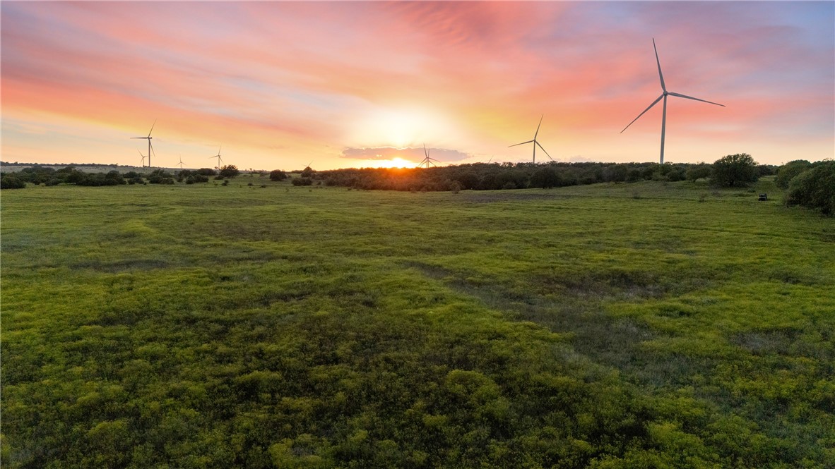 871 Fm 575 Comanche, TX 76442 - Photo 23 of 70