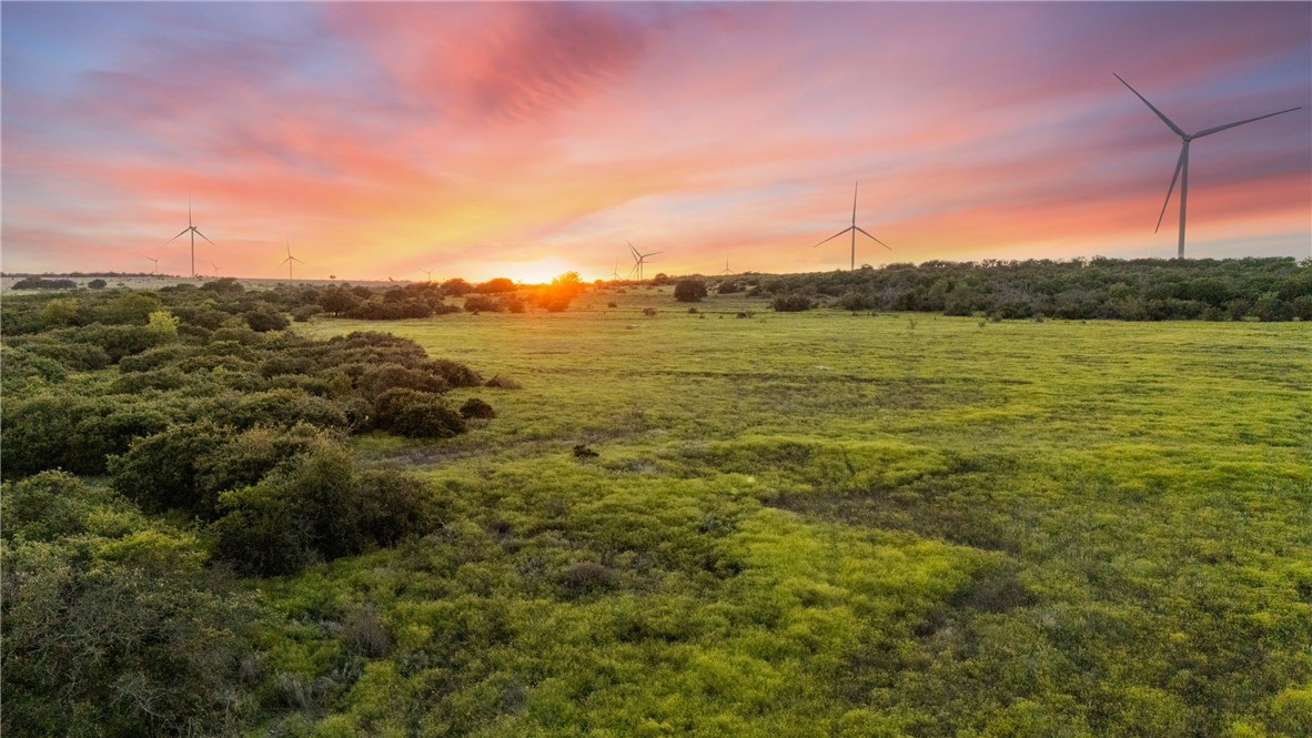871 Fm 575 Comanche, TX 76442 - Photo 32 of 70