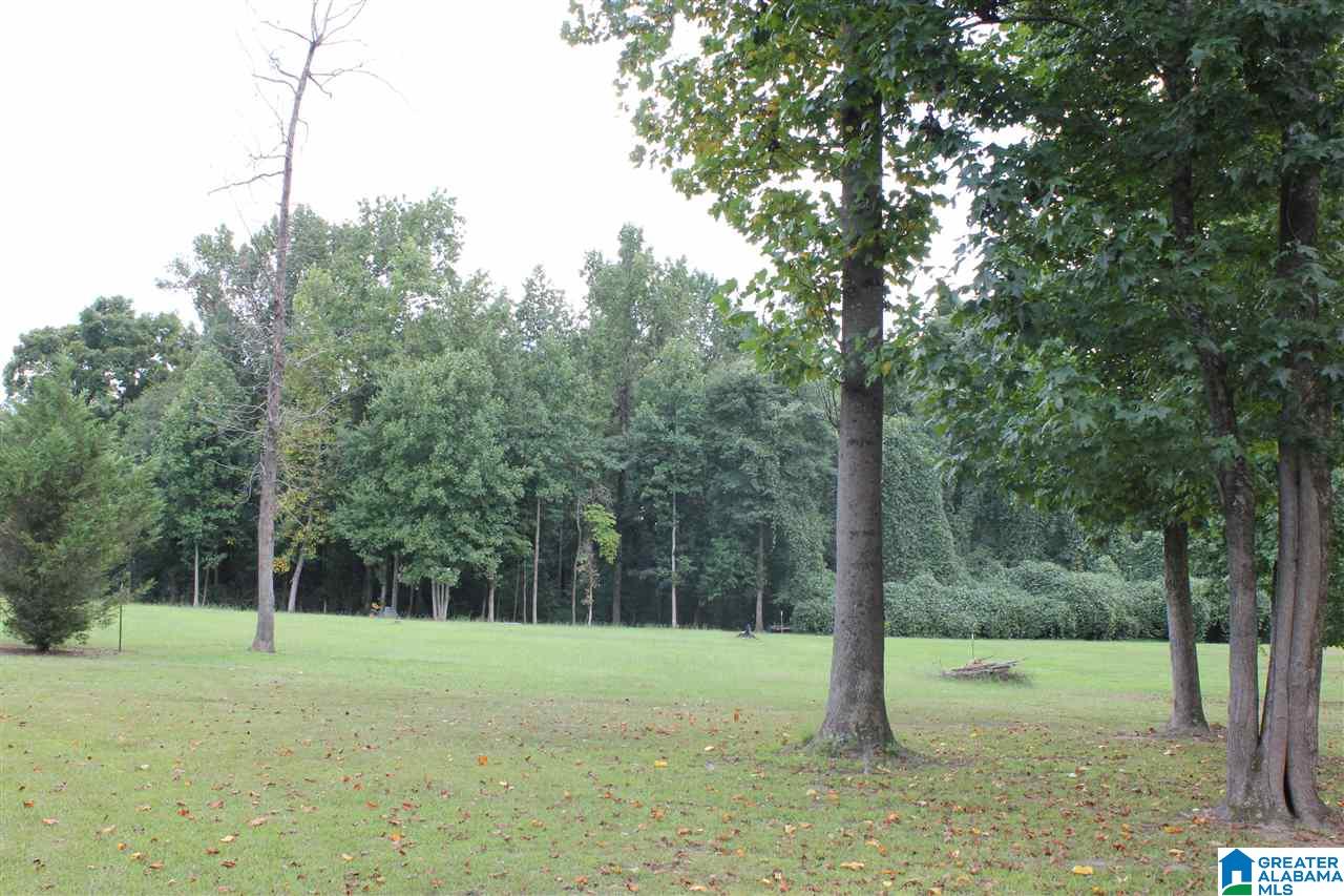 1780 Brookside Road, Unit 1 Mount Olive, AL 35117 - Photo 9 of 13 Gallery Image 9